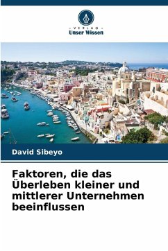 Cover Faktoren, die das Überleben kleiner und mittlerer Unternehmen beeinflussen