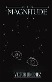 Magnitude (eBook, ePUB) Magnitude (eBook, ePUB)