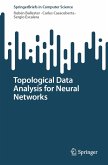 Topological Data Analysis for Neural Networks (eBook, PDF)