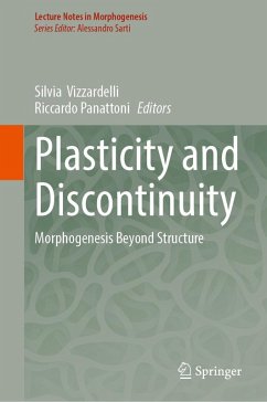 Plasticity and Discontinuity (eBook, PDF)