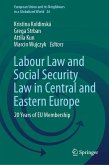 Labour Law and Social Security Law in Central and Eastern Europe (eBook, PDF)
