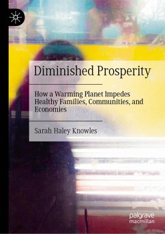 Cover Diminished Prosperity (eBook, PDF)
