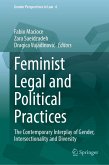 Feminist Legal and Political Practices (eBook, PDF)