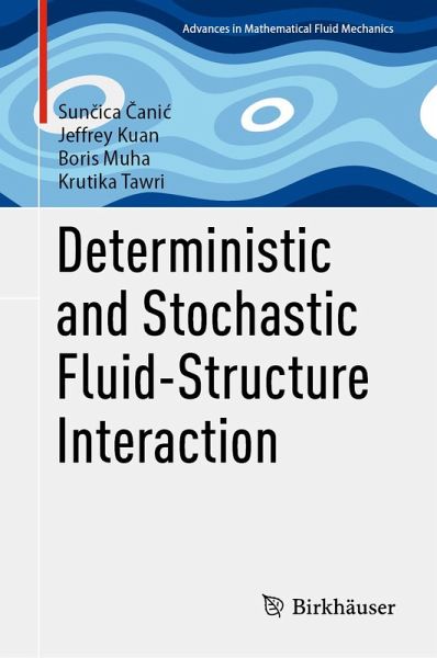 Deterministic and Stochastic Fluid-Structure Interaction (eBook, PDF)