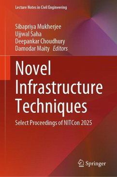 Novel Infrastructure Techniques (eBook, PDF)