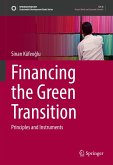 Financing the Green Transition (eBook, PDF)