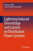 Lightning Induced Overvoltage and Current on Distribution Power Systems (eBook, PDF)