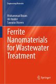Ferrite Nanomaterials for Wastewater Treatment (eBook, PDF)