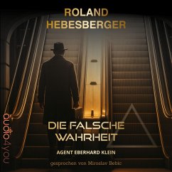 Cover Die falsche Wahrheit (MP3-Download)