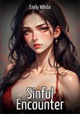 Sinful Encounter (eBook, ePUB)