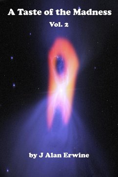 Cover A Taste of the Madness Vol. 2 (eBook, ePUB)