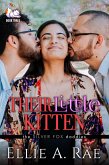 Their Little Kitten (the Silver Fox daddies, #3) (eBook, ePUB)