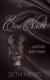 Eine Nacht ... und du bist mein (Gay Edition, #1) (eBook, ePUB) Eine Nacht ... und du bist mein (Gay Edition, #1) (eBook, ePUB)