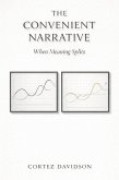 The Convenient Narrative: When Meaning Splits (eBook, ePUB)