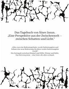 Cover Das Tagebuch von Sinev Jasun. 