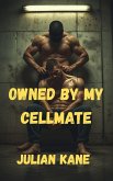 Owned By My Cellmate (eBook, ePUB)