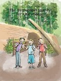 The Tremendous Journey of King's Sons (eBook, ePUB)