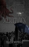 Merittown (eBook, ePUB)