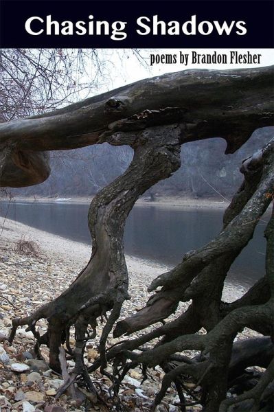 Chasing Shadows (eBook, ePUB) Chasing Shadows (eBook, ePUB)