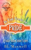 In The Name of Pride (Foggy Basin Pride Series 2026) (eBook, ePUB)