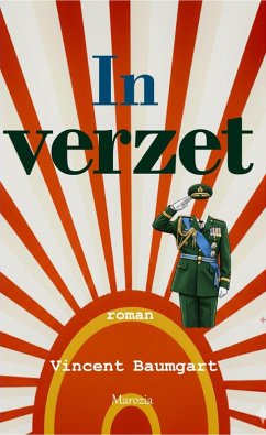 Cover In verzet (eBook, ePUB)
