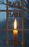 Fragile Flame (eBook, ePUB)