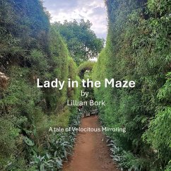 Cover Lady in the Maze (eBook, ePUB)