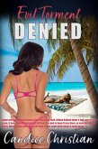 Evil Torment Denied (eBook, ePUB)