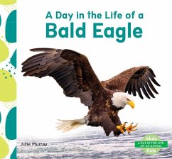 Day in the Life of a Bald Eagle - Murray, Julie