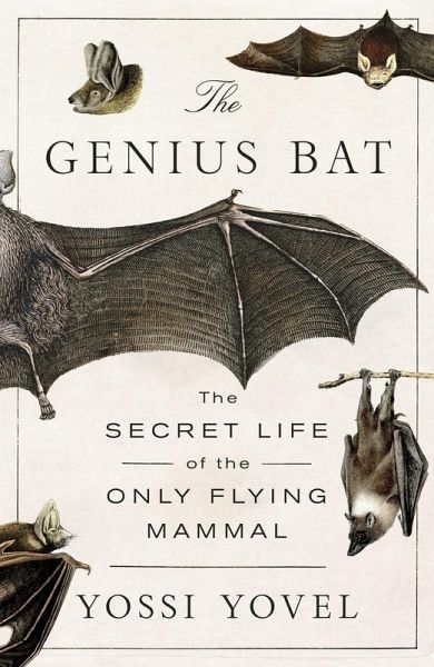 The Genius Bat