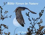 Bible Verses in Nature