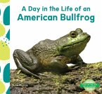 Day in the Life of an American Bullfrog Day in the Life of an American Bullfrog