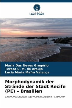 Morphodynamik der Strände der Stadt Recife (PE) - Brasilien - Gregório, Maria Das Neves;M. de Araújo, Tereza C.;Mafra Valença, Lúcia Maria
