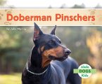 Doberman Pinschers Doberman Pinschers
