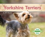 Yorkshire Terriers Yorkshire Terriers