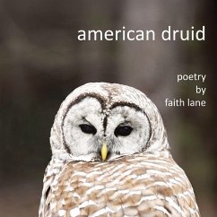 Cover american druid