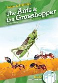 Ants & the Grasshopper