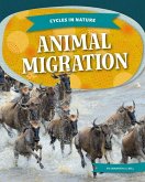 Animal Migration Animal Migration