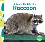 Day in the Life of a Raccoon Day in the Life of a Raccoon