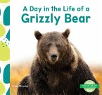 Day in the Life of a Grizzly Bear Day in the Life of a Grizzly Bear
