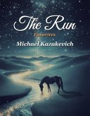 The Run (eBook, ePUB)