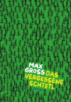 Das vergessene Schtetl (eBook, PDF) - Gross, Max
