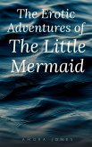 The Erotic Adventures of the Little Mermaid (eBook, ePUB)