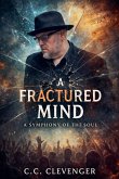 A Fractured Mind