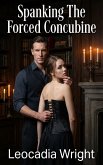 Spanking The Forced Concubine (eBook, ePUB)