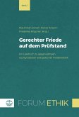 Gerechter Friede auf dem Prüfstand (eBook, PDF)