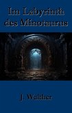 Im Labyrinth des Minotaurus (eBook, ePUB)