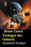 Treibgut der Galaxis: Science Fiction (eBook, ePUB)