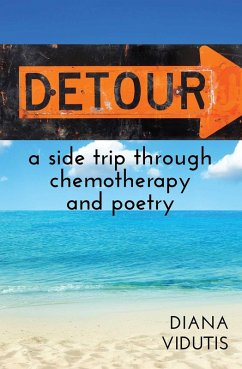 Cover Detour (eBook, ePUB)