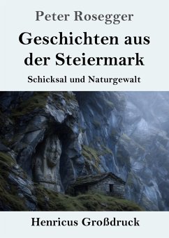 Cover Geschichten aus der Steiermark (Großdruck)